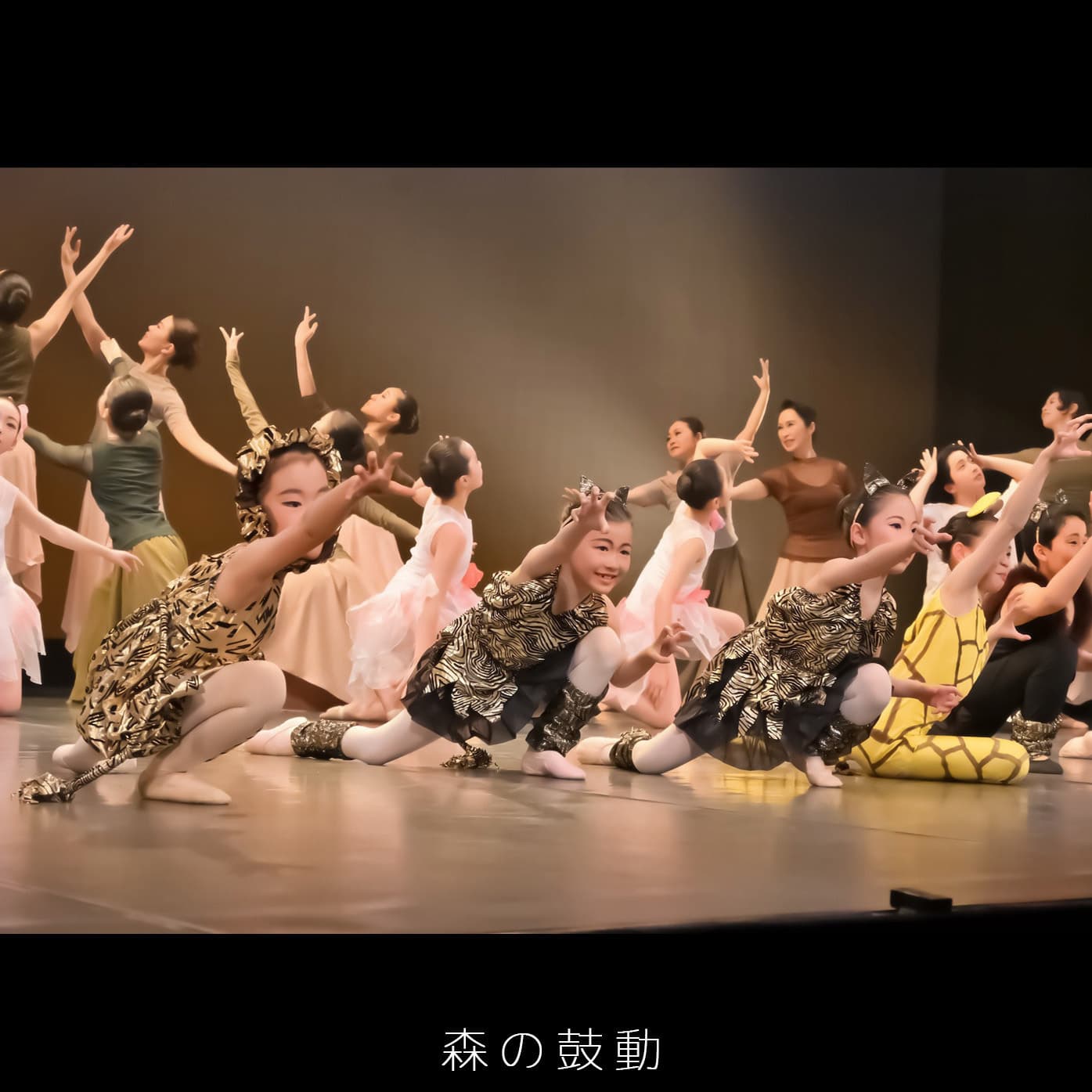 バレエ教室：福本まゆみモダンバレエアート（豊中市・緑地公園）：第７回ミニコンサート：森の鼓動